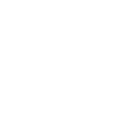 Icon representing Light rain